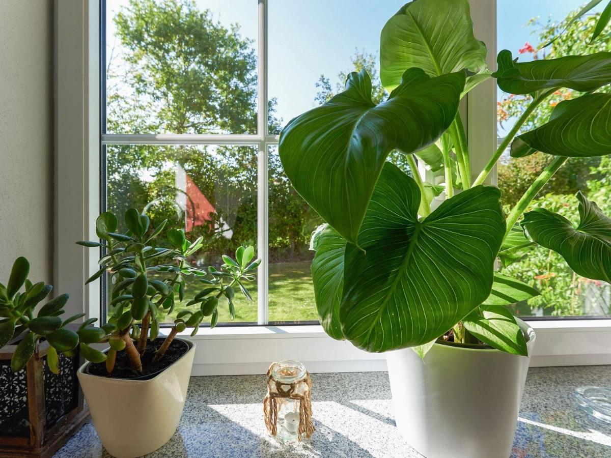 Nice Flat With Sauna Covered Terrace Garden And Tree House For Children Zandt Εξωτερικό φωτογραφία